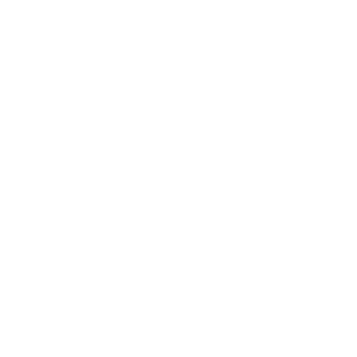 BRT_Logo branco