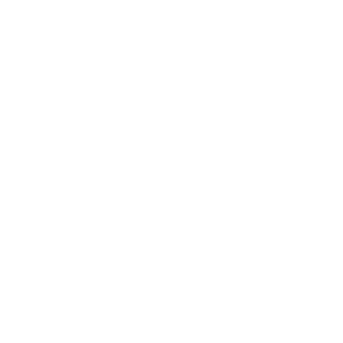 Renner_Logo branco